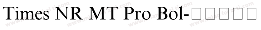 Times NR MT Pro Bol字体转换